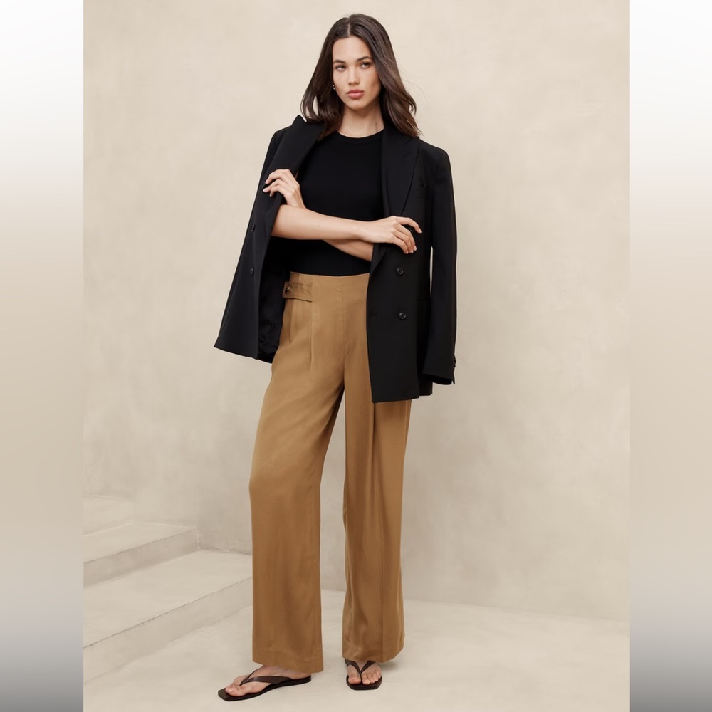 Banana Republic Factory Tencel Lyocell Fibers Pleated Wide Leg Pants